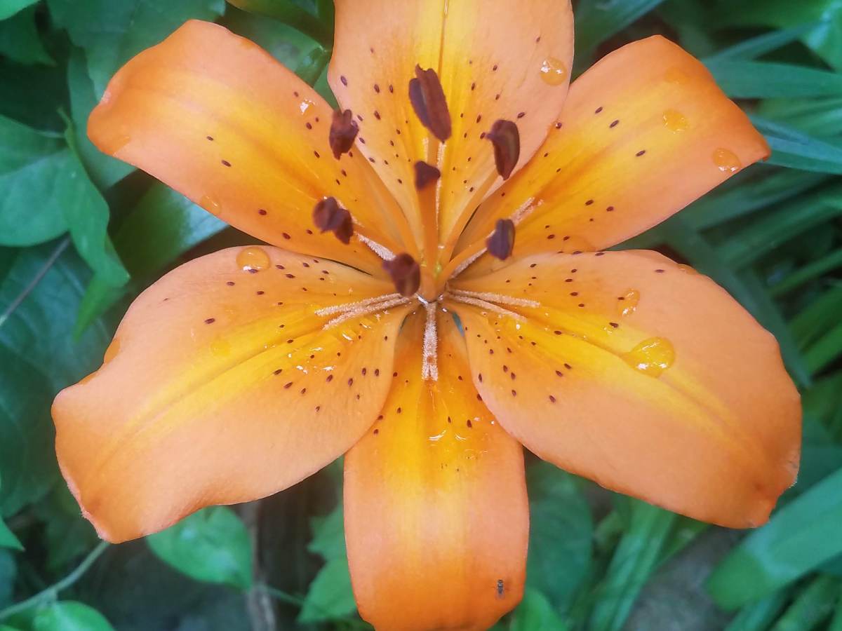 Please Stop Calling Poison&nbsp;Control